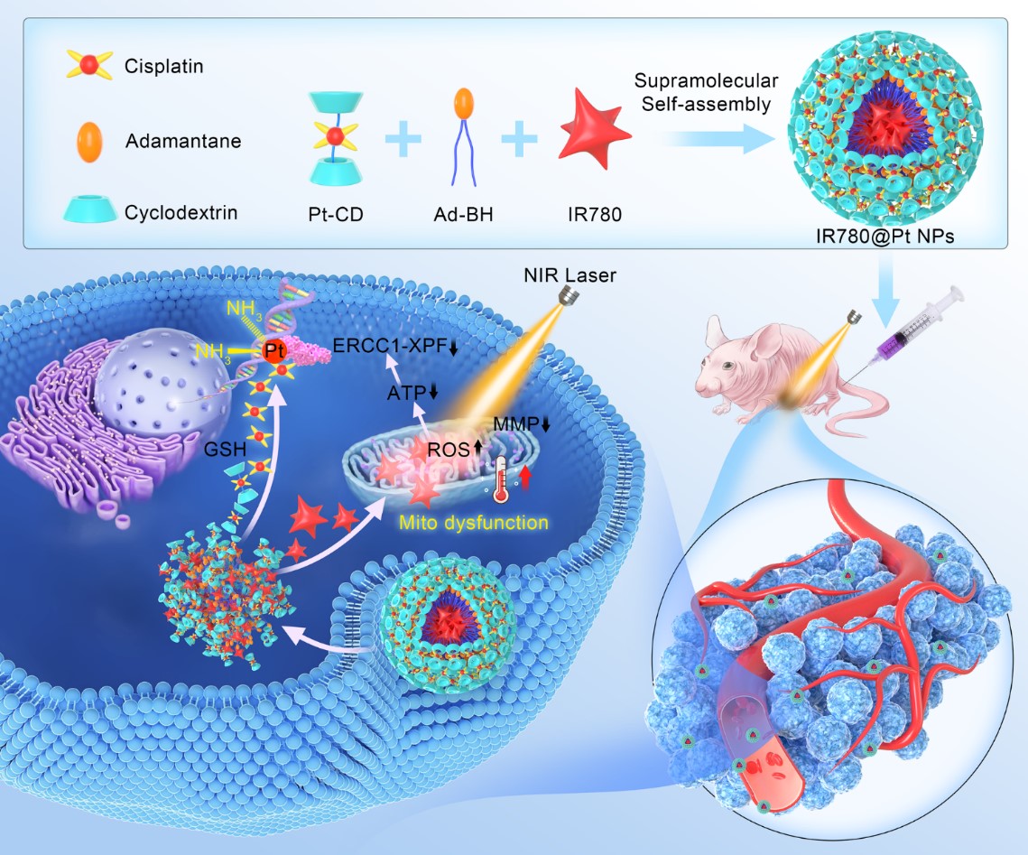 肿瘤免疫治疗中的mRNA疗法 - 知乎