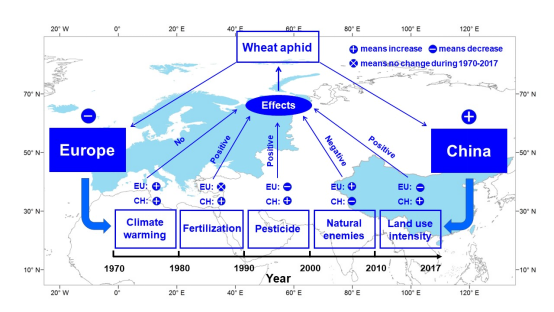 丁建清课题组在全球变化对麦田生态系统影响领域取得系列进展