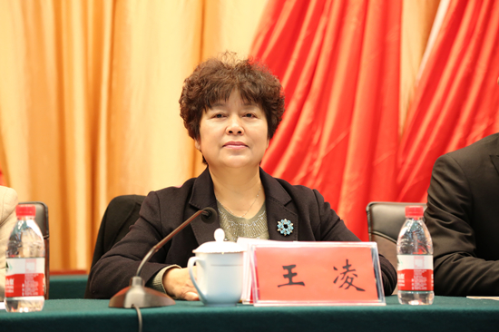 3.校党委副书记王凌在开幕式上讲话_副本